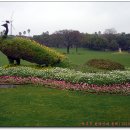 여미지식물원 이미지