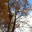 연암축산 이미지