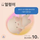 디데이 10일 10일남음