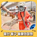 울산 아이랑가볼만한곳 동물의정원 울산테마식물수목원 입장료 주차 운영시간