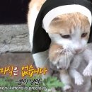 정진농장 네이버블로그