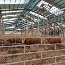 지유테크 이미지