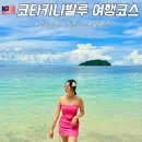 코타키나발루 자유여행 코스 섬투어 마누칸섬, 사피섬 스노쿨링