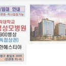 성모약국 앞 이미지