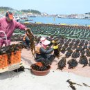 원종한일 이미지