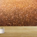 민 행정사 이미지