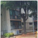모현대림아파트 이미지