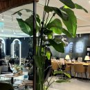 강남가든 | [서울/강남] 강남역 미용실 준오헤어 가든강남점 염색 후기