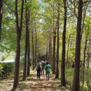 경남선경상가 이미지