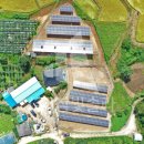 참빛태양광발전소 이미지