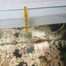 용궁세탁소 이미지