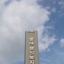 냠냠숯불두마리치킨 남양주별내점