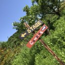 멜로디 아트 이미지