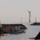 제주집 두모공 이미지