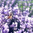 정원여인숙 이미지