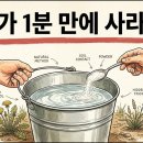 잡초 제거 비법 — 잡초가 하룻밤 사이에 거의 사라졌습니다 / 자급자족 생활 및 Inteligentne Ogrodnictwo 이미지