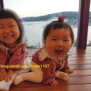 예쁘지아 이미지