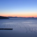 완도바다 - 서구 | 완도바다