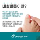 닥터페디 노원점 이미지