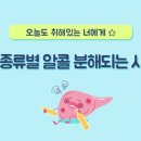 8월 12일(수) 출석부-술 종류별 알콜 분해되는 시간 이미지