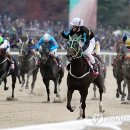 경마장가는길 이미지