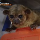 망고이야기 이미지