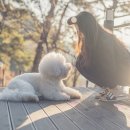 아워펜션 이미지