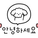 우리들헤어샾