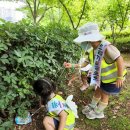 김해유치원 이미지