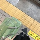 힐링여행의 정석 (묵호편)