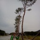 남원농협주천지점 이미지