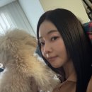 김사랑 카카오 검색결과