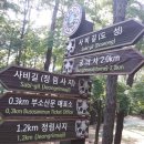 부소산성 삼충사 입구 이미지