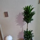 강남987호텔 이미지