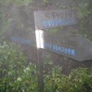 당산농원 Daum카페