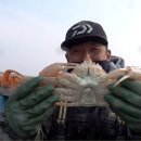 장어야 대게야 이미지