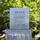 양지7리(양지@) 티스토리