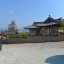배나무민박 Daum카페
