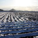 사등마을 이미지