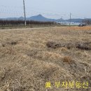 부자365부동산공인중개사사무소 이미지