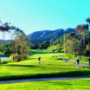 개인(최유경) 이미지