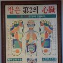 하늘약손 네이버블로그