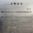 나무테크 이미지