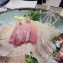 통영집 | 역삼역 룸식당 '통영집' 솔직 후기: 20명 단체 회식과 자연산 회 코스의 가성비 분석