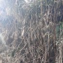 소구월사거리 이미지