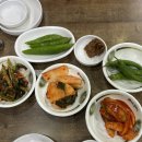 촌닭삼계탕 | [경기/부천] 신중동 혼밥 추천 녹두 삼계탕 맛집 촌닭삼계탕 내돈내먹 후기