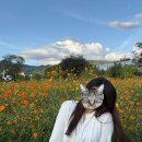 황화목장 이미지