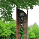 대전둘레산길(3구간) 이미지