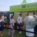 그린네이처 이미지