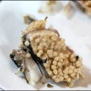 주막집포차 이미지